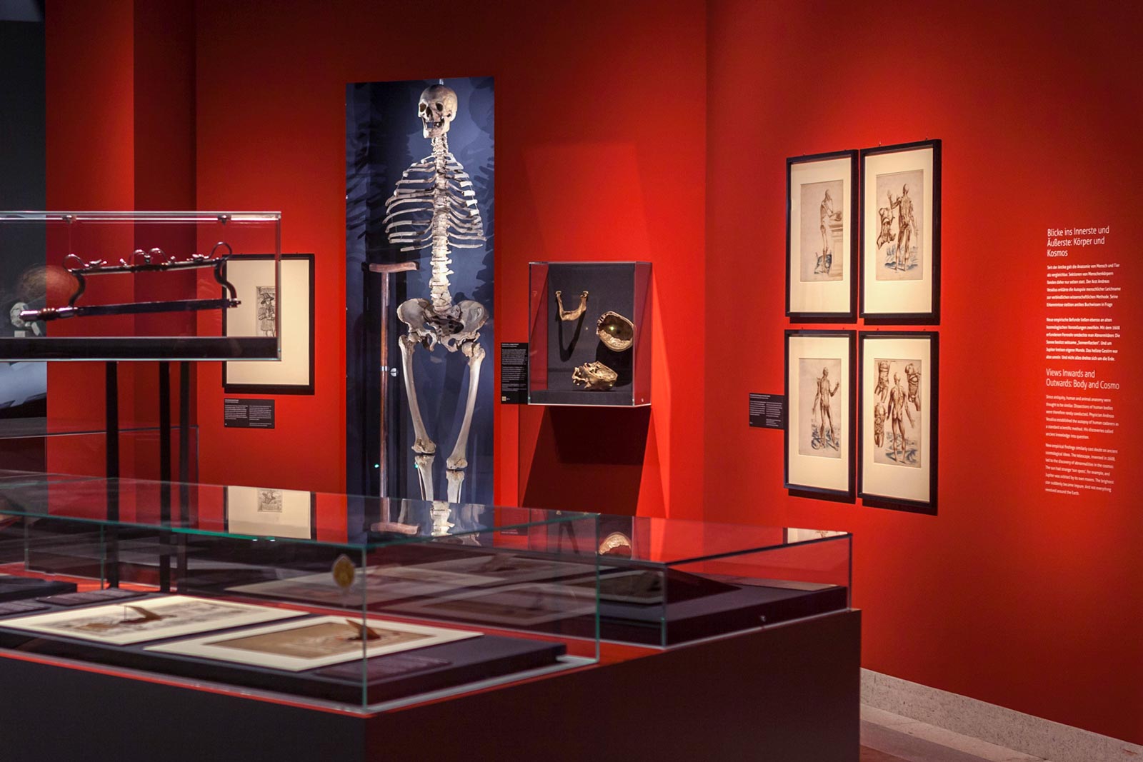 Das Referenzbild für Ausstellungsgestaltung aus der Sonderausstellung Luther, Kolumbus und die Folgen zeigt eine Exponatpräsentation in Tischvitrinen und Wandvitrinen.